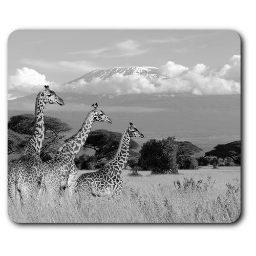 Rectangle mouse mat - rectangle,