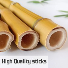 Garden Canes Plant Support