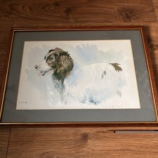 “Springer Spaniel” Print By Eric H Day Dated  1981, Framed Mounted & Glazed