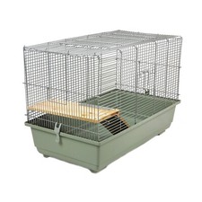 Syrian hamster rat large coco - rat,