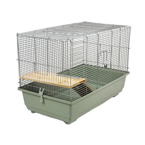Syrian hamster rat large - hamster,