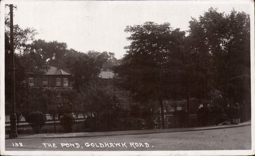Shepherds bush the pond - bush.,