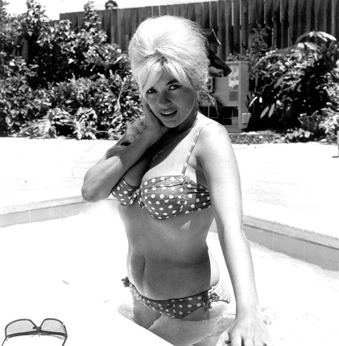 Jayne mansfield glossy photo - jayne,
