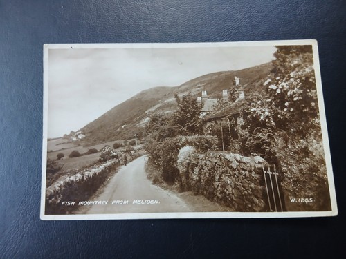 Fish mountain cottages - &,