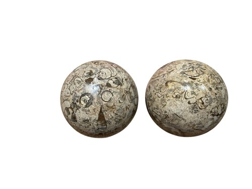 Pair fossil marble stone - 4”,