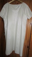 Ladies silver colour dress with a shimmer fom Personal Choice size 24,nwot