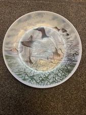 Royal Worcester Fine Porcelain