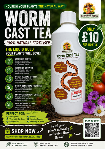 Natural worm tea plant - tea,