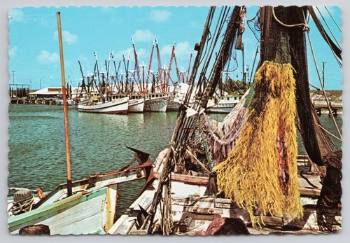 Shrimp boats harbor fishing - harbor,