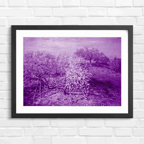 Blooming orchard trees - orchard,