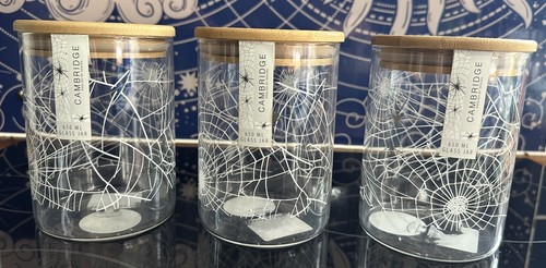 Maxx spider web and - tk, 3x