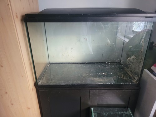 Large fish tank aquarium - large,