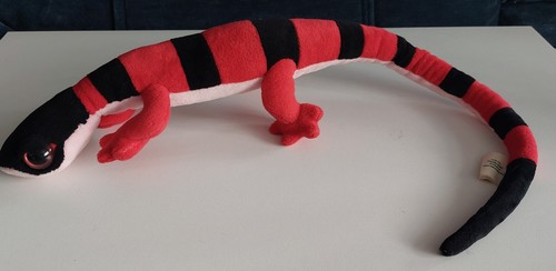 Nature planet gecko lizard - planet,