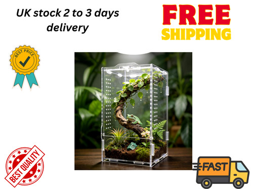 Jumping spider enclosure - jumping,