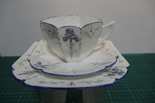 Shelley Trio in the Blue Iris