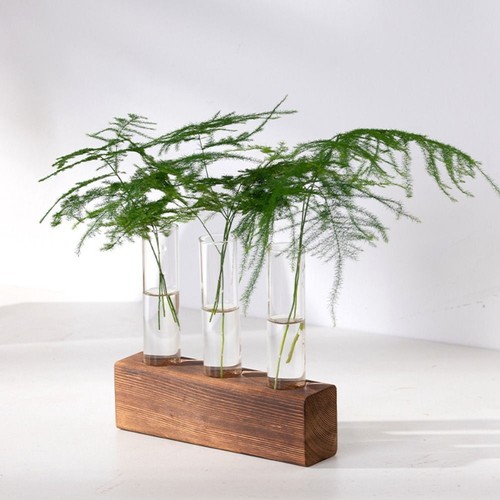 Hydroponic plant display set - display,