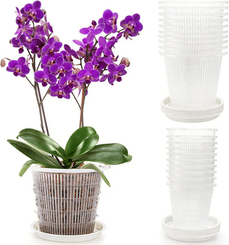 Clear orchid pots with - 20,