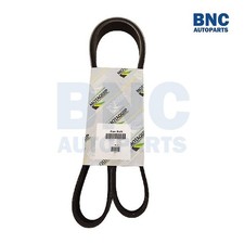 Motaquip Alternator Drive Belt