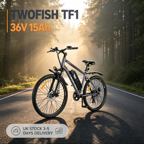 Twofish bike 250w mtb uk - 250w, e-mtb