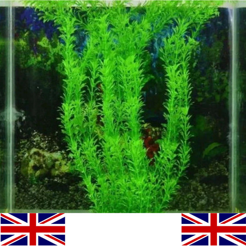 Plastic aquarium fish tank - fish,