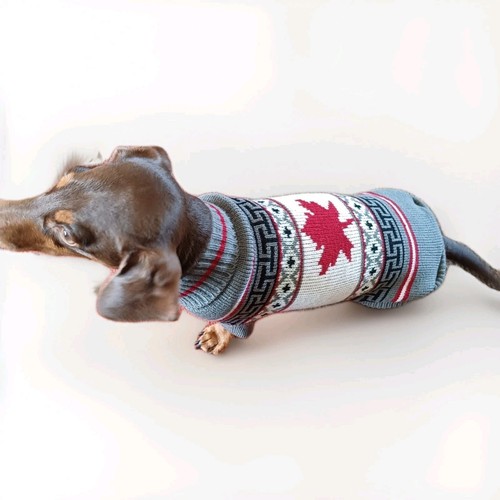 Funny dog canada jumper - funny,