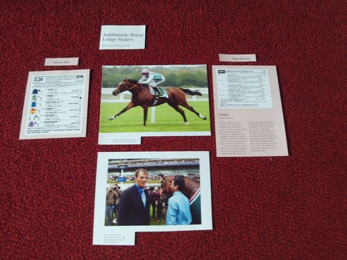 Frankel juddmonte royal lodge - frankel,
