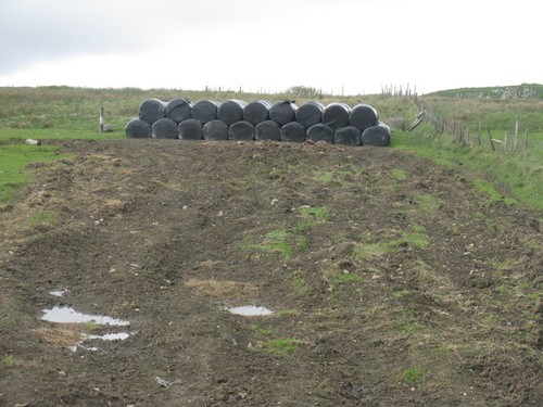 Photo silage bales near - photo,