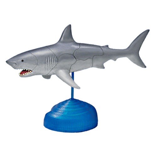 Great white shark sea life - great,