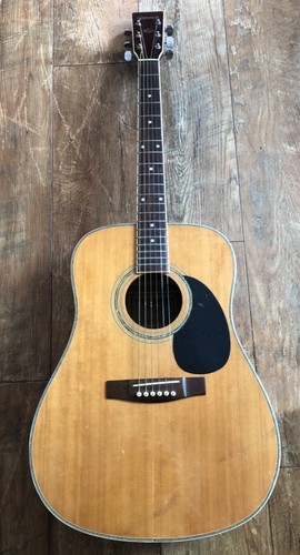 Hohner lw600n acoustic - lw600n,