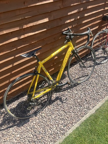 Mens road bike carrera tdf - road,
