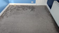 Carpet and Underlay for Room Size 3.21m X 2.80m used in Very Good Condition