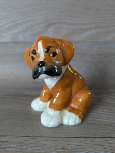 Melba ware bengo boxer puppy - melba,