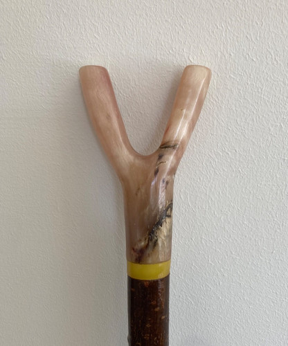 Rams horn thumb stick on - horn,