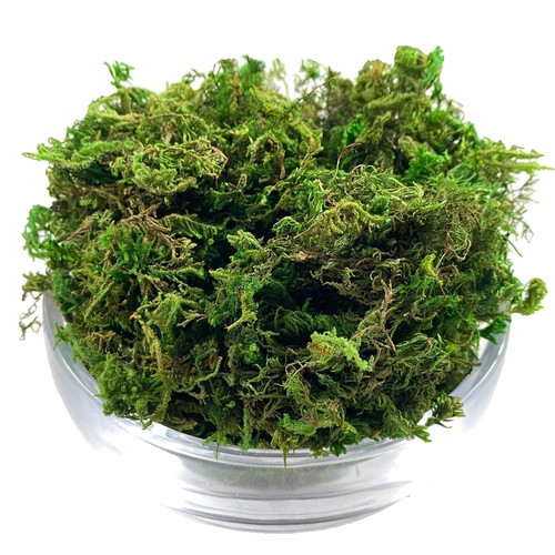 Artificial moss simulation - artificial,