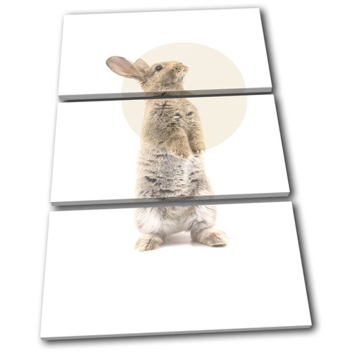 Rabbit hare modern abstract - hare,