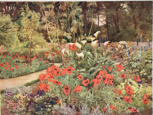 Flowers poppies and - -, arum