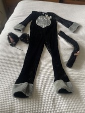 Girls Cat Dressing Up Outfit