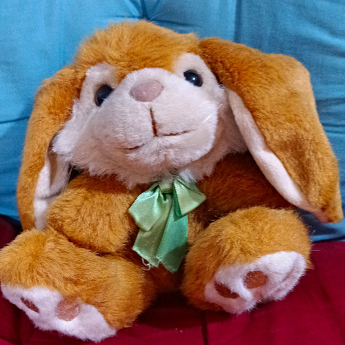 Small plush bunny rabbit soft - plush, bunny/rabbit