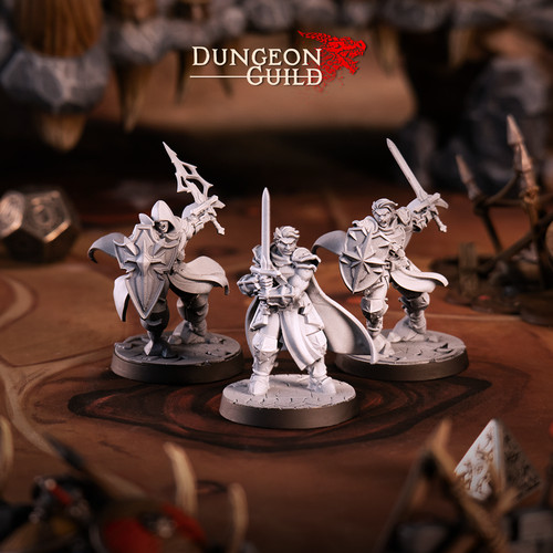 Human paladin player - player, character