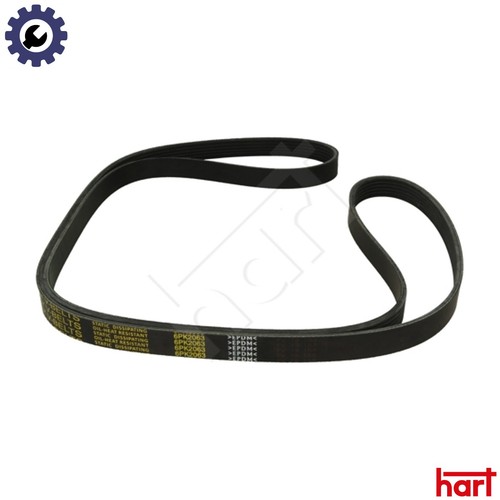 Vribbed belt 917 784 for - 917, vw