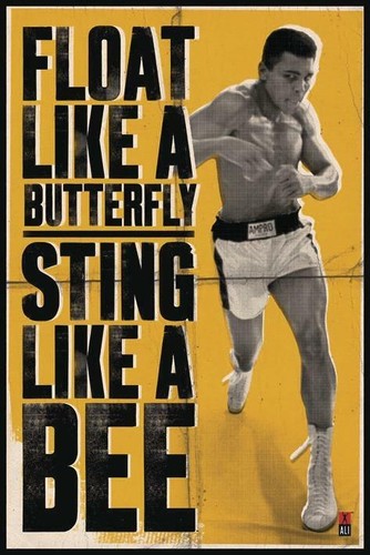 Muhammad ali poster - ali,