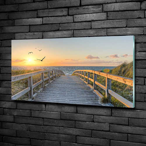 Tulup glass print - tulup, wall