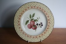 Johnson Brothers Fruit Sampler