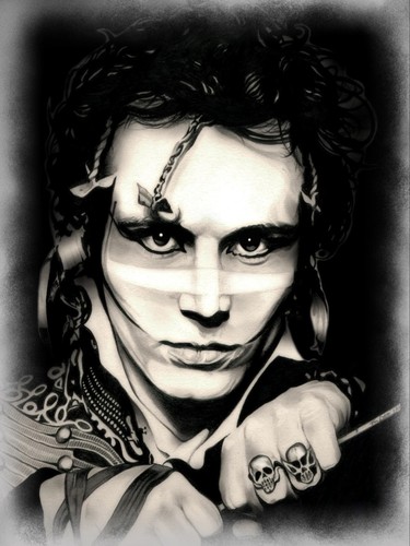 Adam ant and - ant,