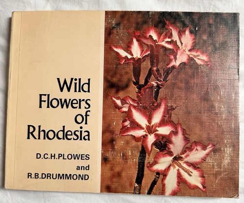Wild flowers rhodesia - wild,