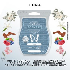🆕 Scentsy Luna 💙
