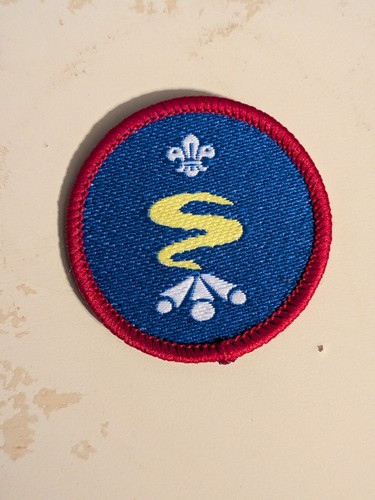 Scout activity badge - badge,