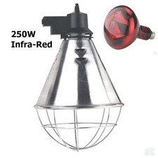 INFRA RED HEAT LAMP BULB Ruby