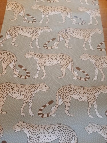 Cole son leopard walk - son,