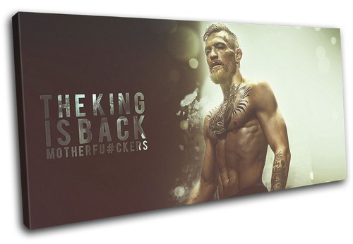 Conor mcgregor ufc - mma, grunge